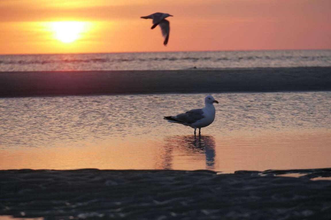 - Bella Mare - Nordseestrasse 3